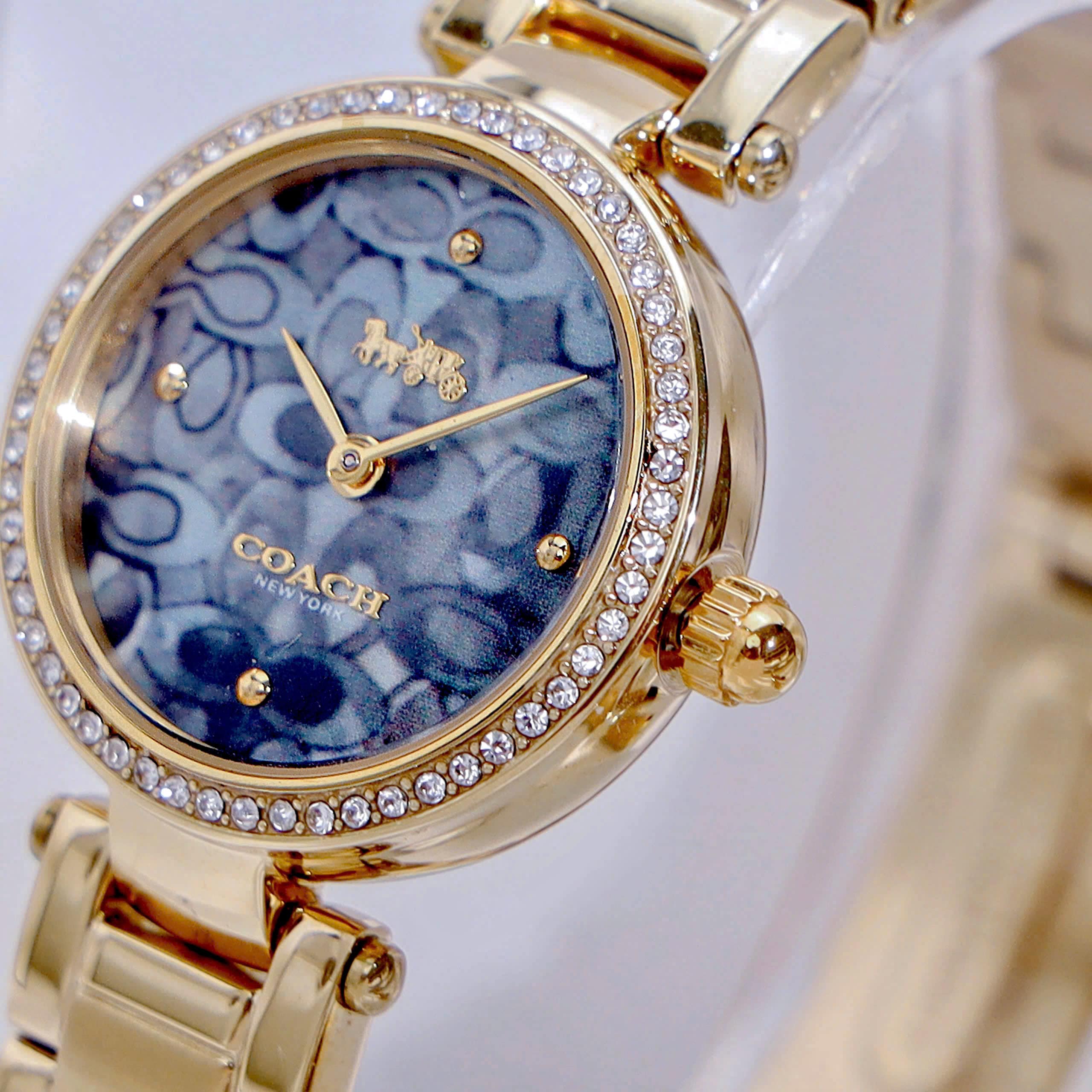 Đồng Hồ đeo tay Coach Nữ Quartz 14503225 6