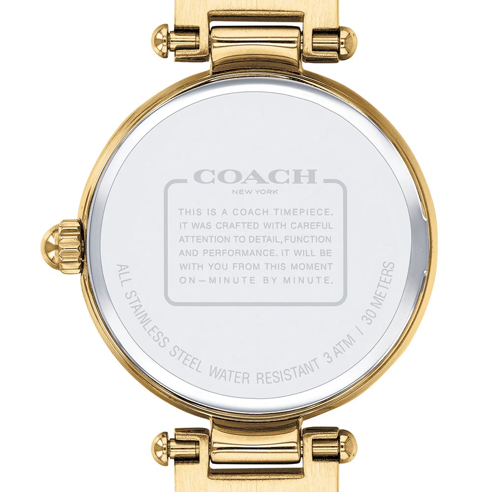 Đồng Hồ đeo tay Coach Nữ Quartz 14503225 11