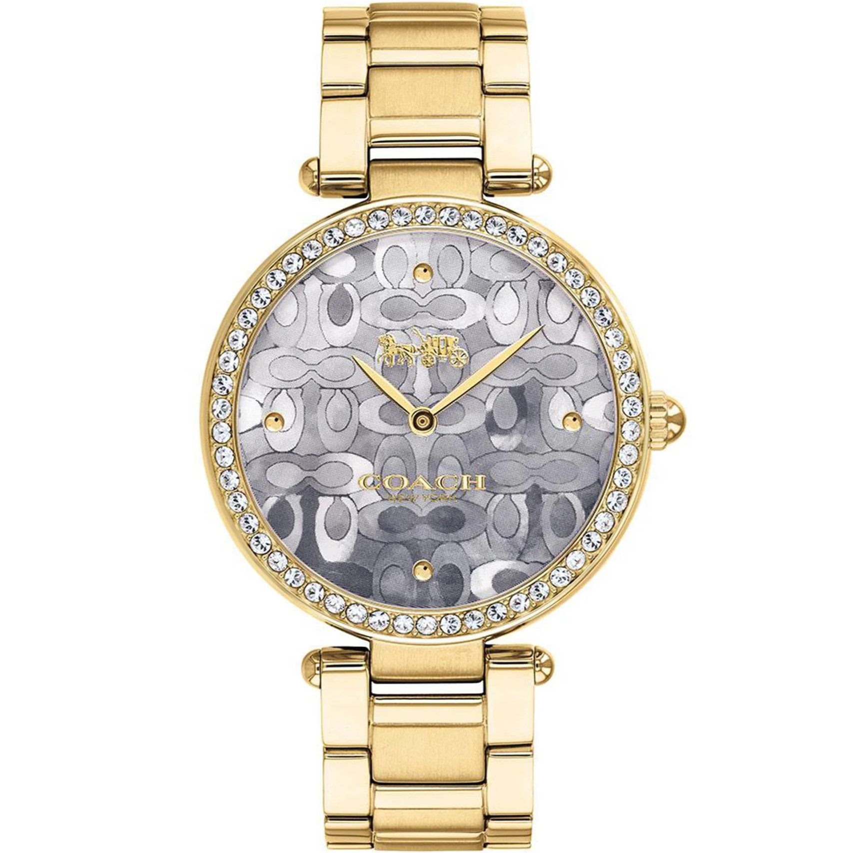 Đồng Hồ đeo tay Coach Nữ Quartz 14503225 12