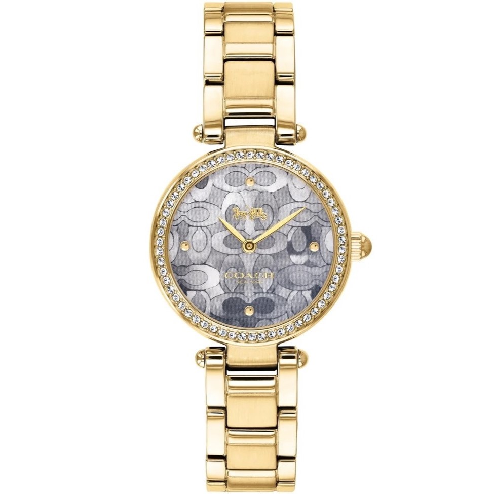 Đồng Hồ đeo tay Coach Nữ Quartz 14503225 13