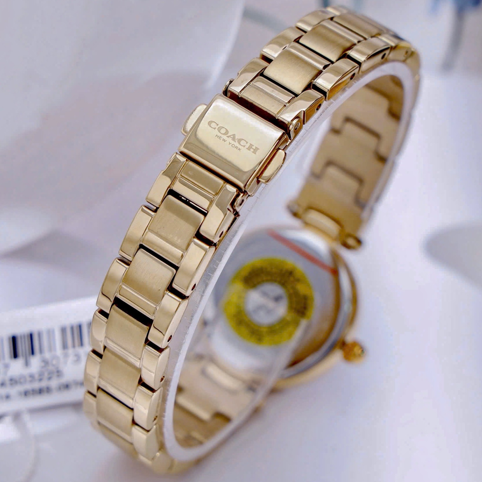 Đồng Hồ đeo tay Coach Nữ Quartz 14503225 14