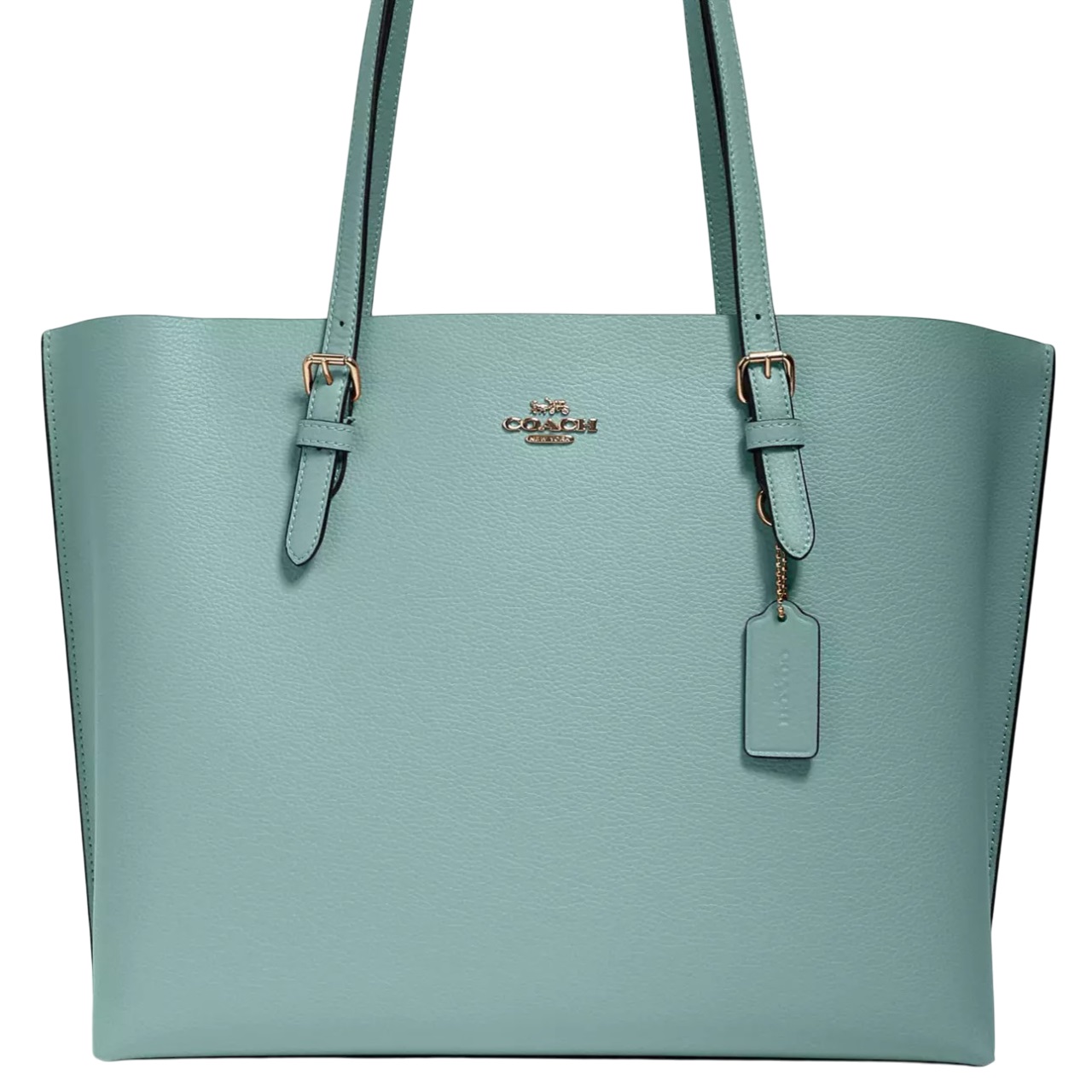 Túi xách Coach nữ Mollie Tote Bag Light Teal Silver 1671 3