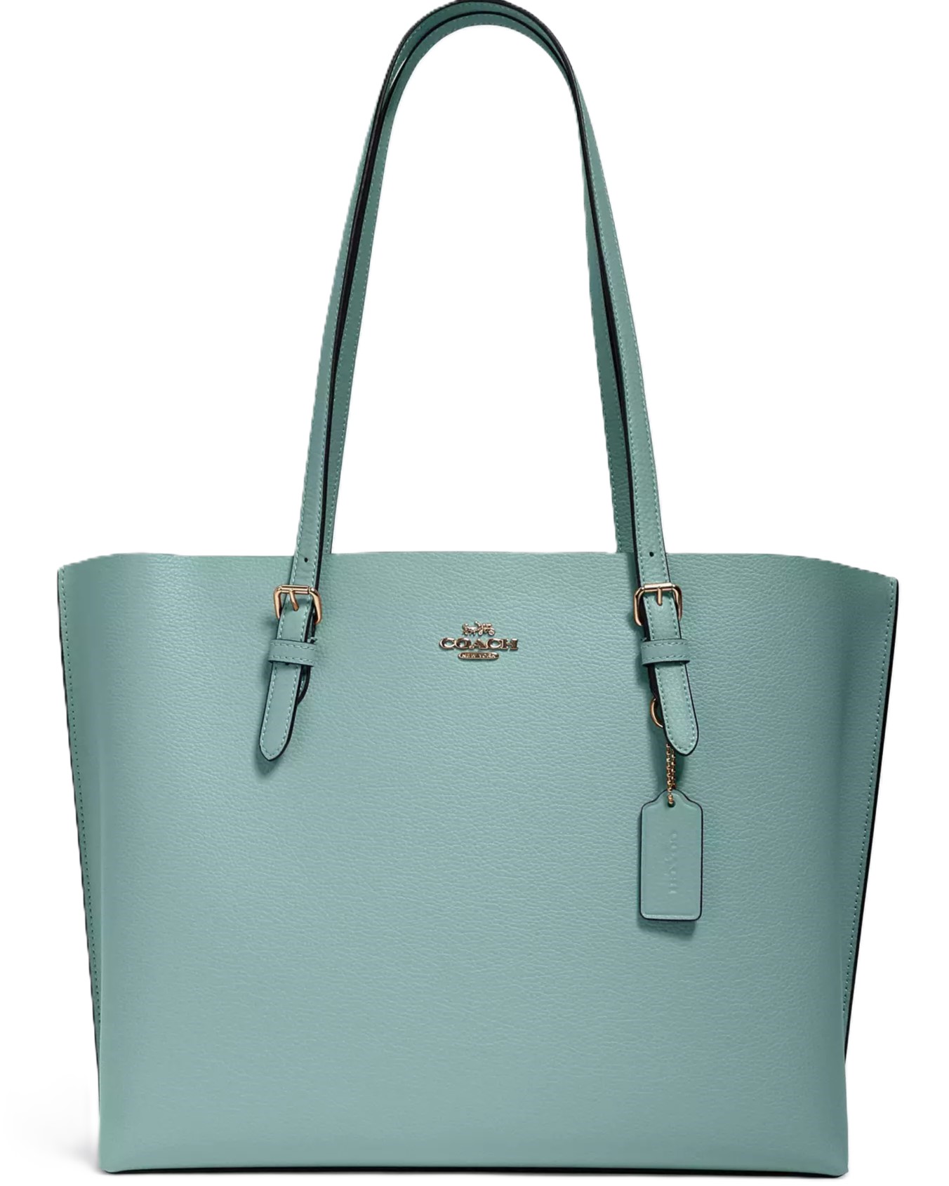 Túi xách Coach nữ Mollie Tote Bag Light Teal Silver 1671 5
