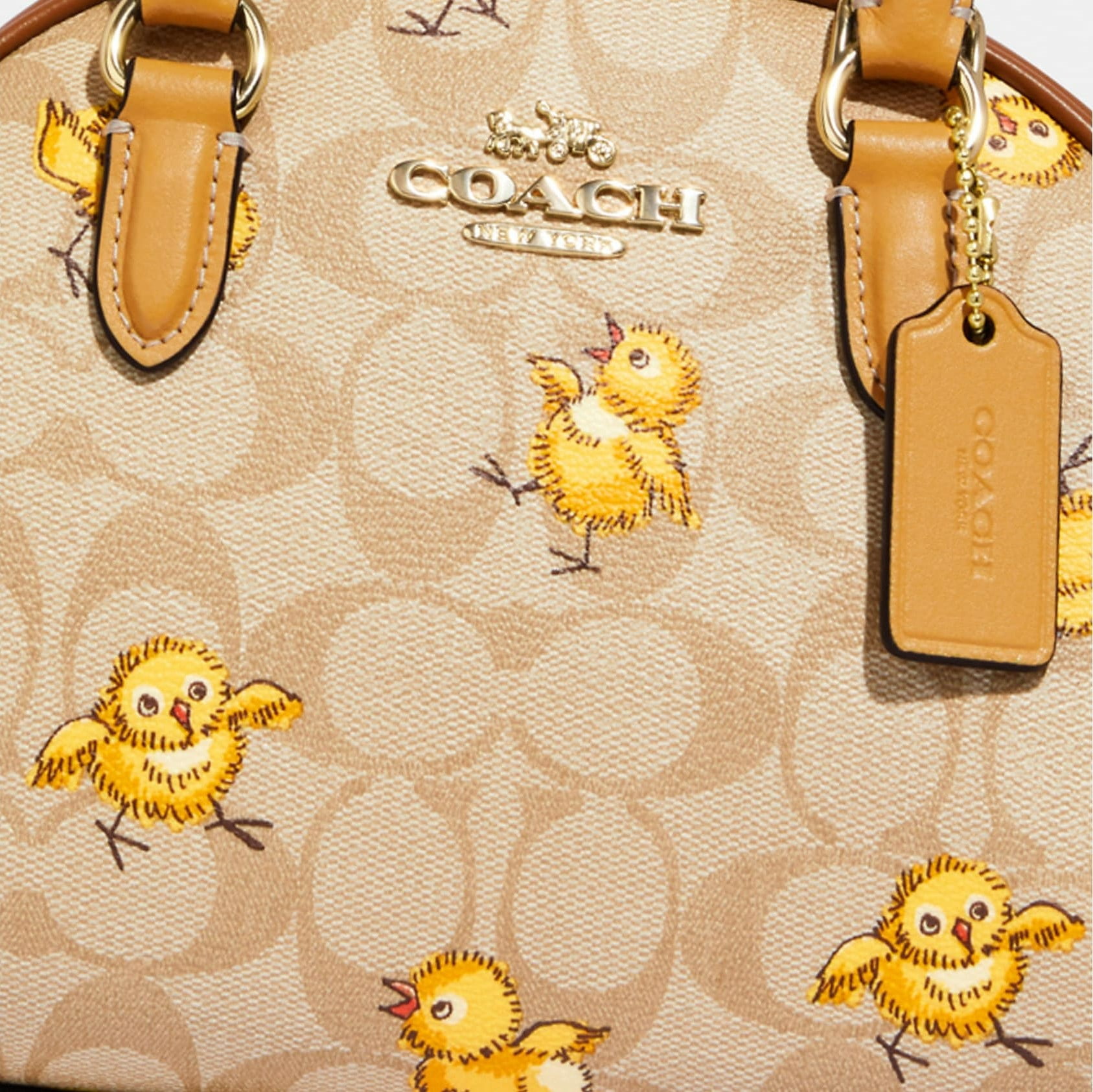 TÚI ĐEO CHÉO COACH SYDNEY SATCHEL IN SIGNATURE CANVAS WITH TOSSED CHICK PRINT 1