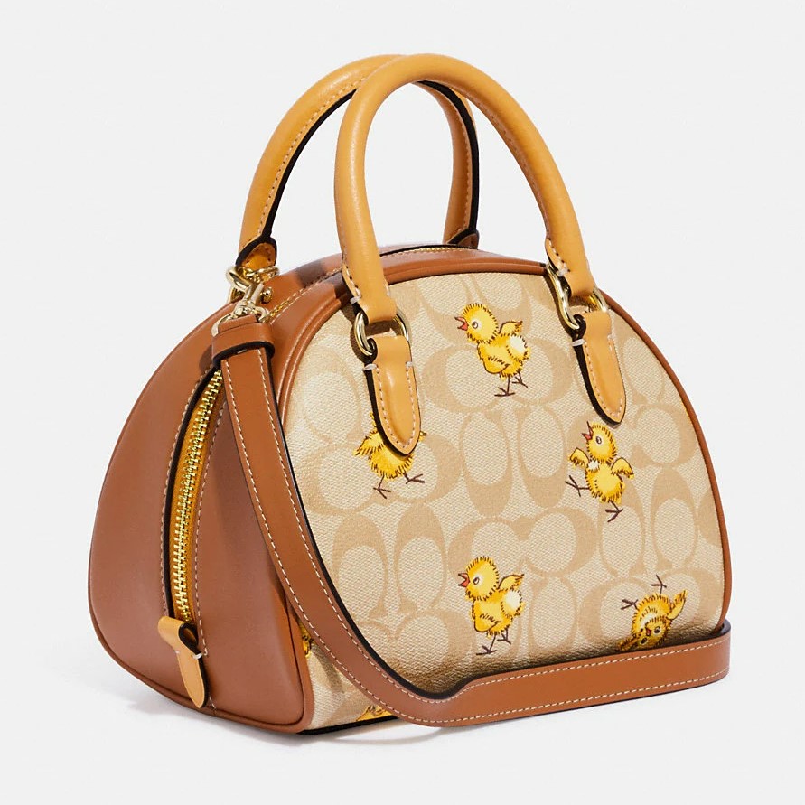TÚI ĐEO CHÉO COACH SYDNEY SATCHEL IN SIGNATURE CANVAS WITH TOSSED CHICK PRINT 2