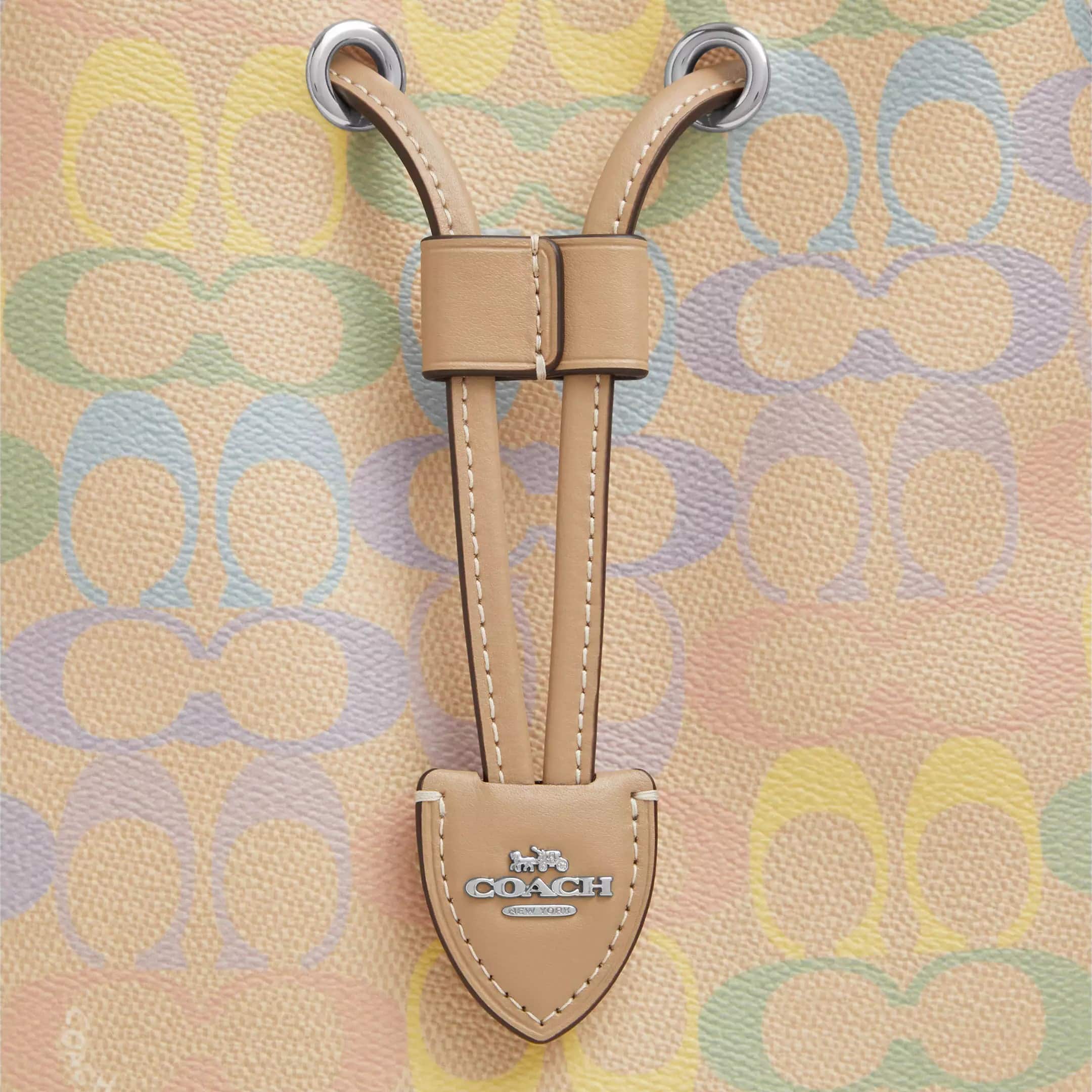 Túi xách Coach Rowan Bucket Bag In Rainbow Signature Canvas Sand Multi CDA92 1