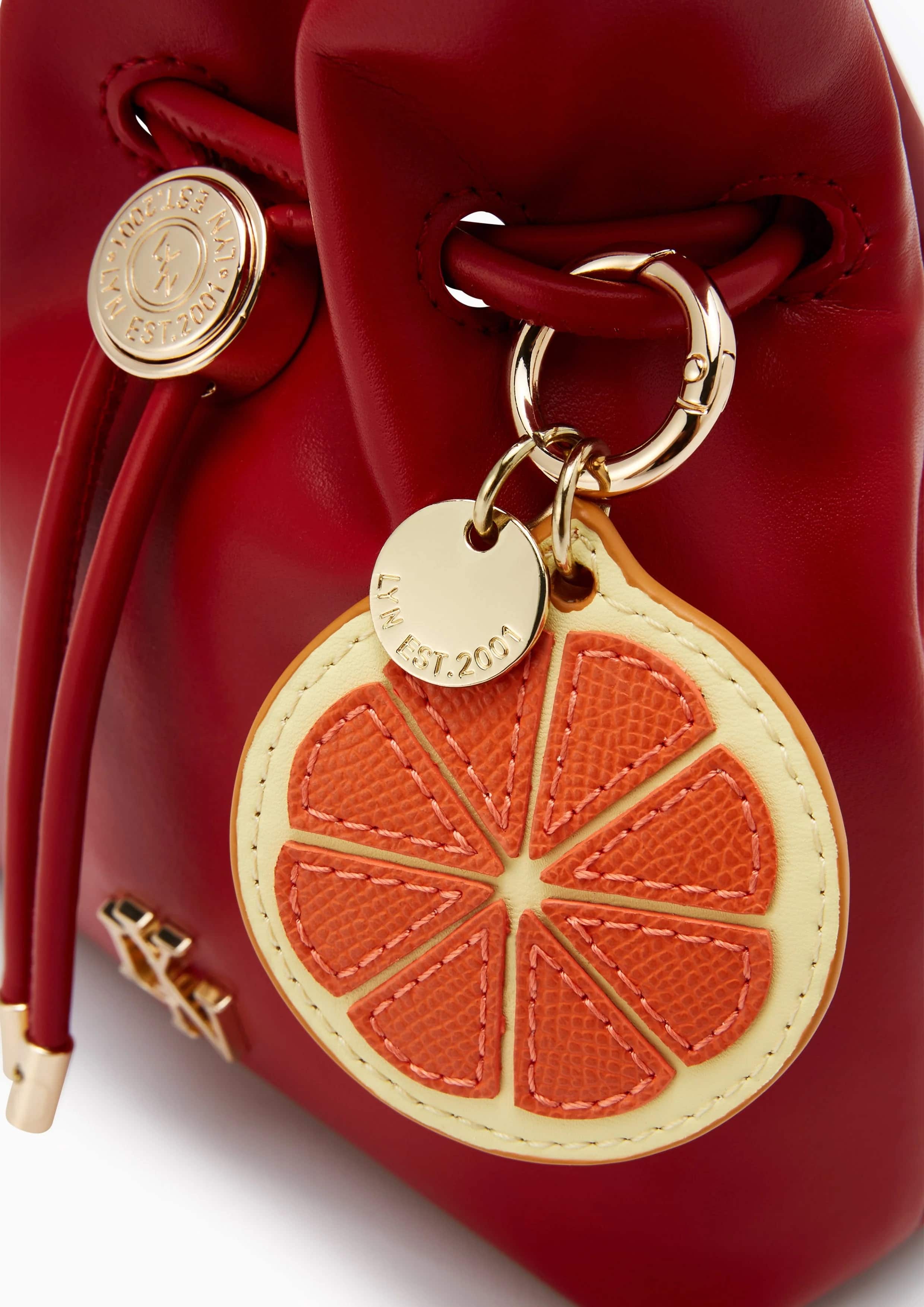 Túi đeo chéo nữ LYN Felix Cny Crossbody Pouch Red 5