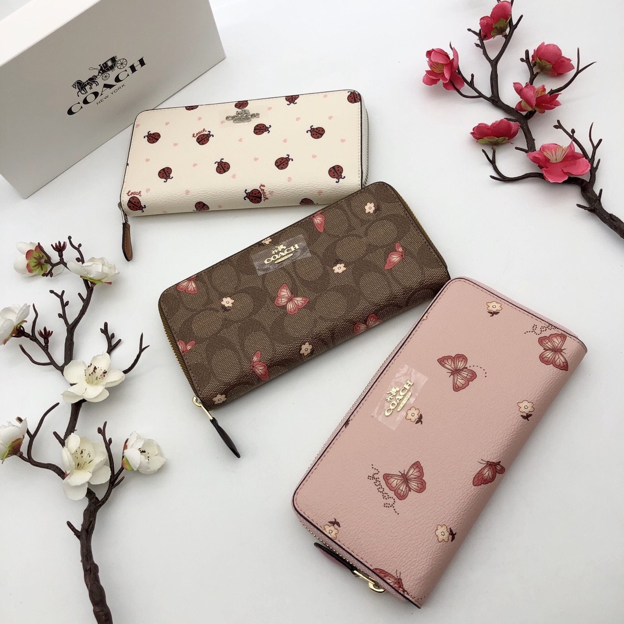 VÍ NỮ DÀI COACH CÁNH BƯỚM | COACH NEW YORK WALLET 4