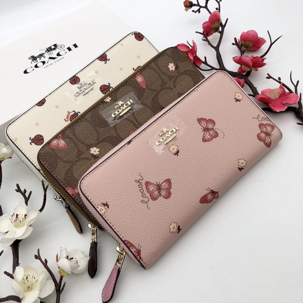 VÍ NỮ DÀI COACH CÁNH BƯỚM | COACH NEW YORK WALLET 6