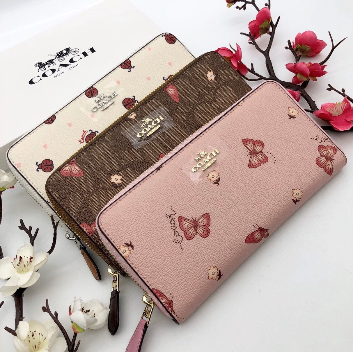 VÍ NỮ DÀI COACH CÁNH BƯỚM | COACH NEW YORK WALLET 8