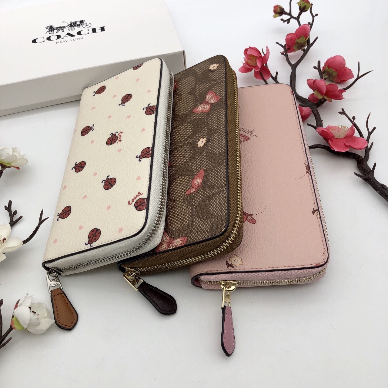 VÍ NỮ DÀI COACH CÁNH BƯỚM | COACH NEW YORK WALLET 5