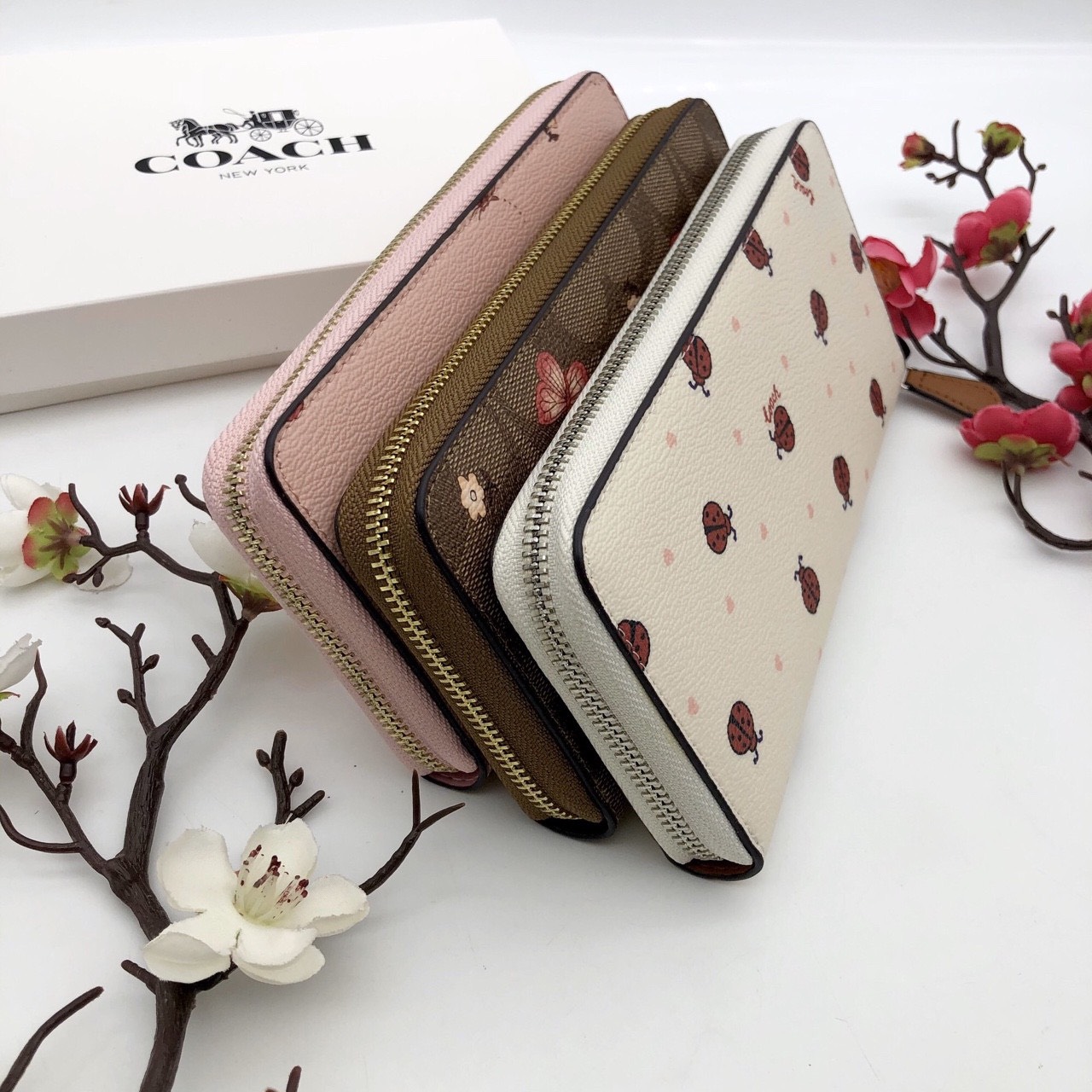 VÍ NỮ DÀI COACH CÁNH BƯỚM | COACH NEW YORK WALLET 9